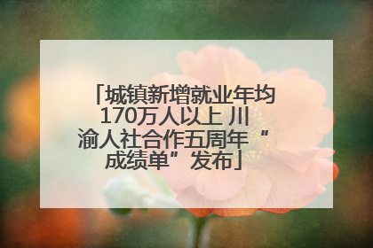 城镇新增就业年均170万人以上 川渝人社合作五周年“成绩单”发布