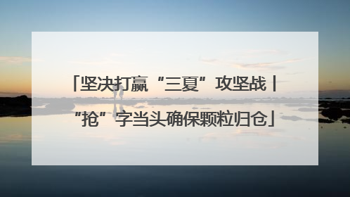 坚决打赢“三夏”攻坚战丨“抢”字当头确保颗粒归仓