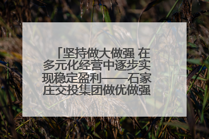 坚持做大做强 在多元化经营中逐步实现稳定盈利——石家庄交投集团做优做强典型报道之三