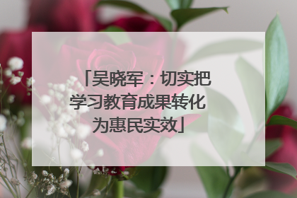 吴晓军：切实把学习教育成果转化为惠民实效