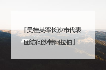 吴桂英率长沙市代表团访问沙特阿拉伯