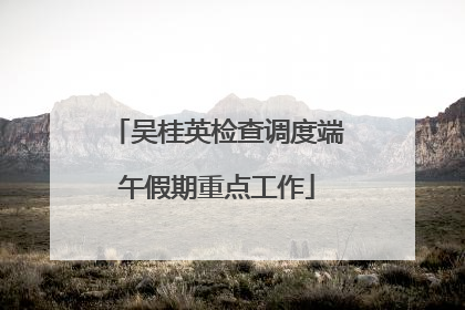 吴桂英检查调度端午假期重点工作