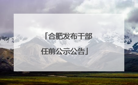 合肥发布干部任前公示公告