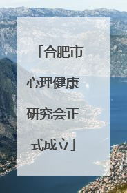 合肥市心理健康研究会正式成立