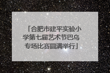 合肥市建平实验小学第七届艺术节巴乌专场比赛圆满举行