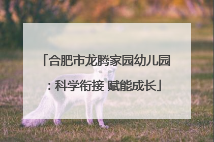 合肥市龙腾家园幼儿园：科学衔接 赋能成长