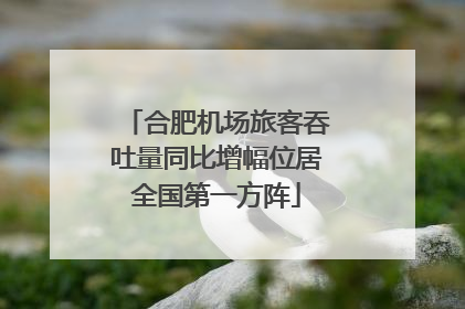 合肥机场旅客吞吐量同比增幅位居全国第一方阵