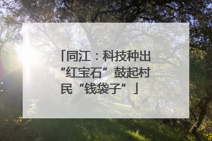 同江：科技种出“红宝石”鼓起村民“钱袋子”