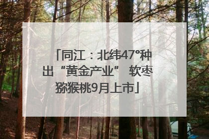同江：北纬47°种出“黄金产业” 软枣猕猴桃9月上市