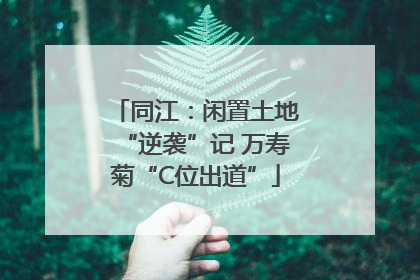 同江：闲置土地“逆袭”记 万寿菊“C位出道”