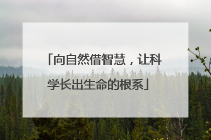 向自然借智慧，让科学长出生命的根系