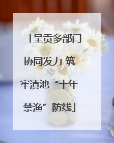 呈贡多部门协同发力 筑牢滇池“十年禁渔”防线