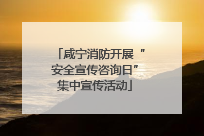 咸宁消防开展“安全宣传咨询日”集中宣传活动