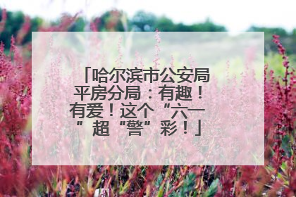 哈尔滨市公安局平房分局：有趣！有爱！这个“六一”超“警”彩！