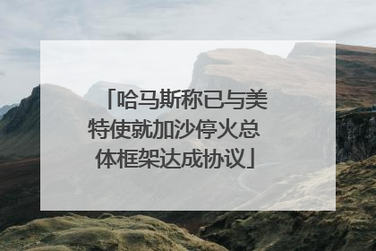 哈马斯称已与美特使就加沙停火总体框架达成协议