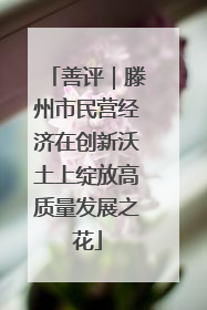 善评｜滕州市民营经济在创新沃土上绽放高质量发展之花