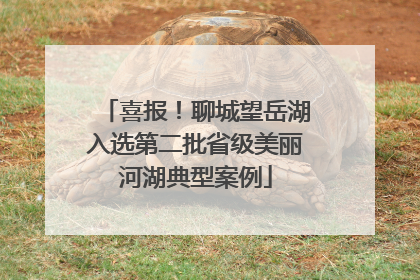 喜报！聊城望岳湖入选第二批省级美丽河湖典型案例