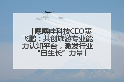 嗯噢哇科技CEO窦飞鹏：共创旅游专业能力认知平台，激发行业“自生长”力量
