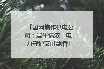 国网焦作供电公司：端午情浓，电力守护艾叶飘香