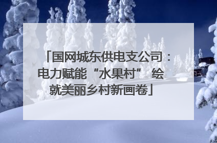 国网城东供电支公司：电力赋能“水果村” 绘就美丽乡村新画卷