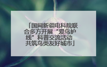 国网新疆电科院联合多方开展“爱鸟护线”科普交流活动 共筑鸟类友好城市