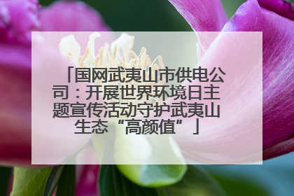 国网武夷山市供电公司：开展世界环境日主题宣传活动守护武夷山生态“高颜值”