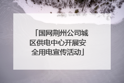 国网荆州公司城区供电中心开展安全用电宣传活动