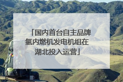 国内首台自主品牌氢内燃机发电机组在湖北投入运营