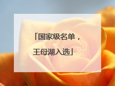 国家级名单，王母湖入选