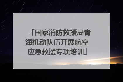 国家消防救援局青海机动队伍开展航空应急救援专项培训