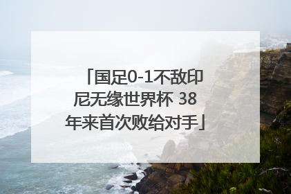 国足0-1不敌印尼无缘世界杯 38年来首次败给对手