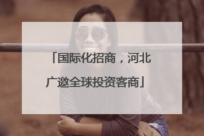 国际化招商，河北广邀全球投资客商