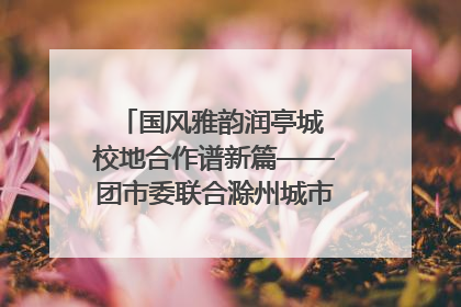 国风雅韵润亭城 校地合作谱新篇——团市委联合滁州城市职业学院助力传统文化“破圈”绽放
