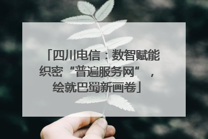 四川电信：数智赋能织密“普遍服务网”，绘就巴蜀新画卷