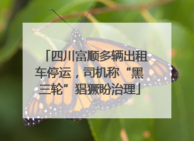 四川富顺多辆出租车停运，司机称“黑三轮”猖獗盼治理