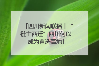 四川新闻联播丨“链主西迁”四川何以成为首选高地