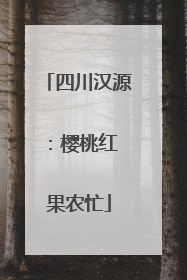 四川汉源：樱桃红 果农忙