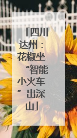 四川达州：花椒坐“智能小火车”出深山