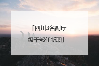 四川3名副厅级干部任新职