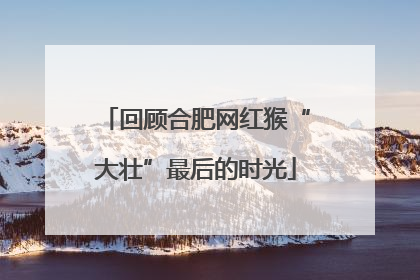 回顾合肥网红猴“大壮”最后的时光