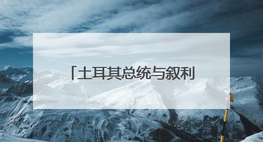 土耳其总统与叙利亚政权领导人就双边关系等举行会谈