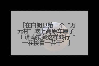在白朗县第一个“万元村”吃上高原车厘子！济南援藏这样践行“一茬接着一茬干”