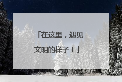 在这里，遇见文明的样子！