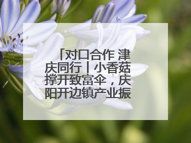 对口合作 津庆同行丨小香菇撑开致富伞，庆阳开边镇产业振兴有“蘑”力