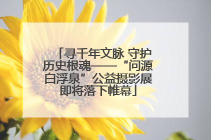 寻千年文脉 守护历史根魂——“问源白浮泉”公益摄影展即将落下帷幕