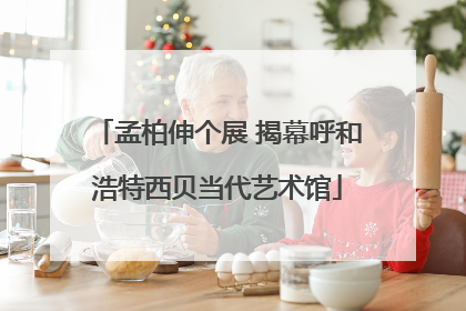 孟柏伸个展 揭幕呼和浩特西贝当代艺术馆