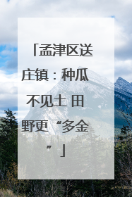 孟津区送庄镇：种瓜不见土 田野更“多金”