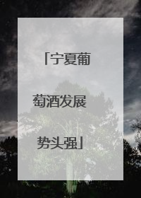 宁夏葡萄酒发展势头强