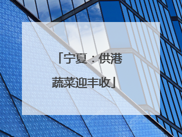 宁夏：供港蔬菜迎丰收