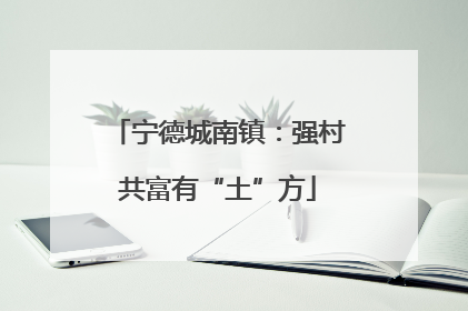 宁德城南镇：强村共富有“土”方